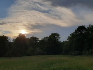Obraz na płótnie Canvas Sunset Over The Field