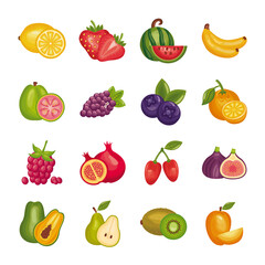 bundle of fresh fruits set icons