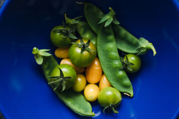 simple food ingredients, bowl with freshly picked snowpeas and tiny yellow and green tomatoes for vegetable roast