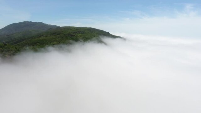 Overlooking Bolinas Bay California. Shrouded in fog