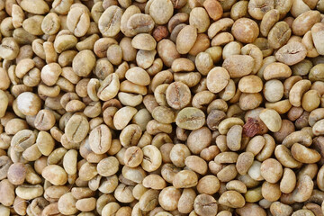 Close up of coffee beans for background                                                  