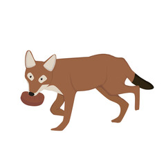  Ethiopan wolf Illustration