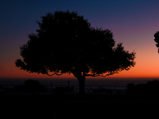 Fototapeta na wymiar California Sunset