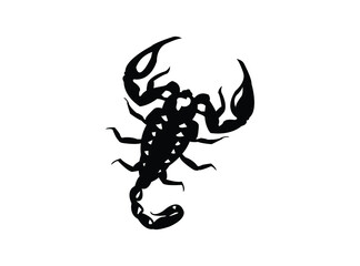 scorpion isolated on white background.