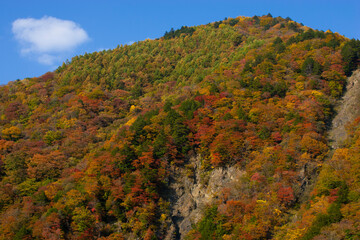 紅葉の山_01