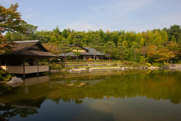 Obraz premium 日本の庭_01