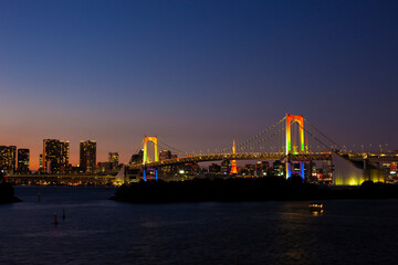 Fototapeta na wymiar Tokyo night view_02