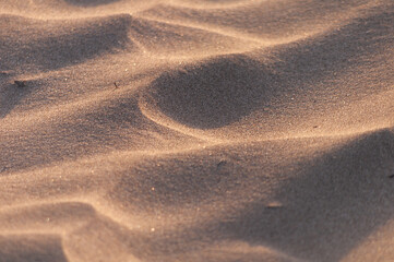 Sand texture in the middle of the desert.