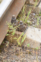 The attachment point of the railway rails to the concrete sleeper close-up.