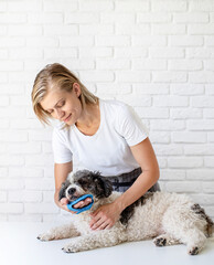Young blond woman grooming her mixed breed dog