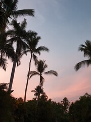 background for vacation ads in tropical places