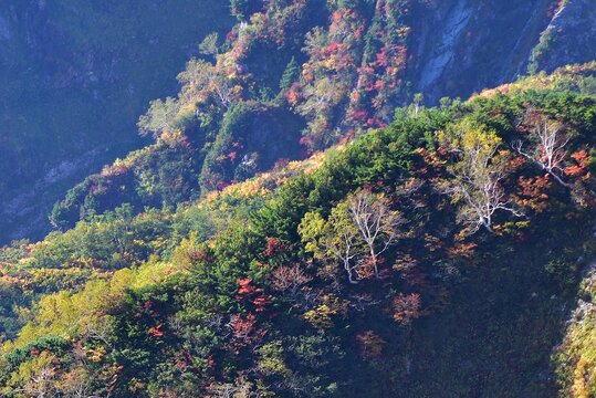 八方尾根images Browse 2 107 Stock Photos Vectors And Video Adobe Stock