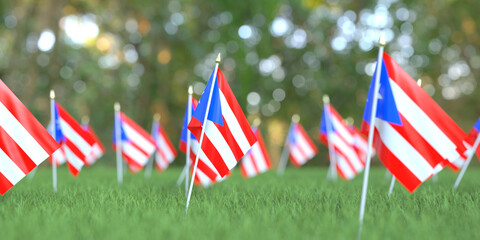 Small flags of Puerto Rico in the grass. National holiday related 3D rendering