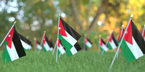 National flags of Jordan in the grass. Celebration related 3D rendering