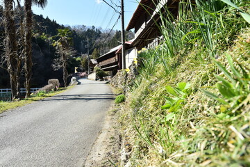 日本の田舎の風景