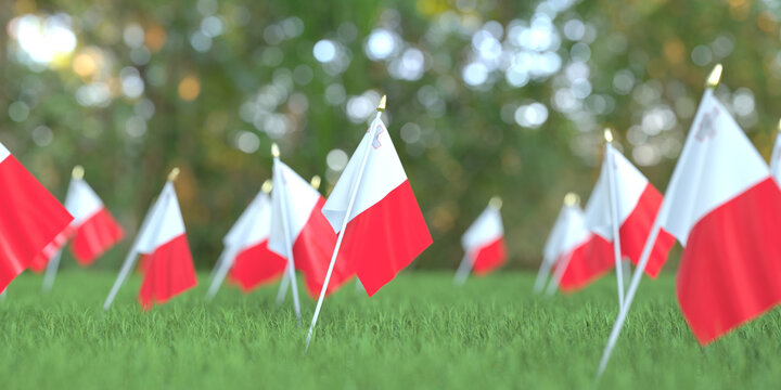 Flags of Malta in the grass. National holiday related 3D rendering