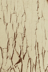 old wooden texture with beige shabby paint