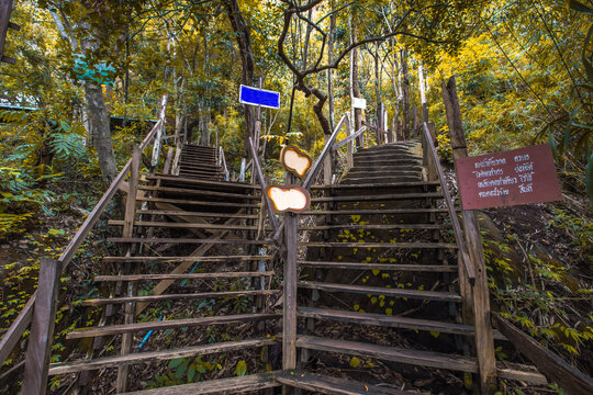 Background Of Wooden Walkways (wooden Bridges) Created For High-angle Views On Mountains, Natural Attractions, Or Parks That Have Forest Preservation