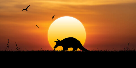 Anteater Walking at sunset, birds fly in the sky