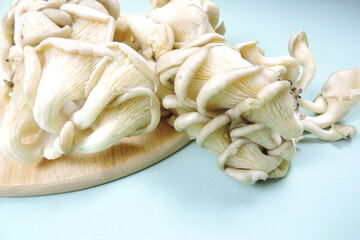   raw oyster mushrooms on a wooden board   and blue background    