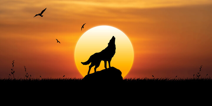 The wolf howls on the stone at sunset, birds fly in the sky