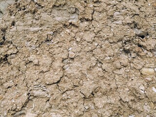 dry soil texture