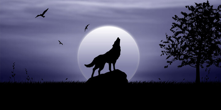The wolf howls on the rock at night in the moonlight, birds fly in the sky