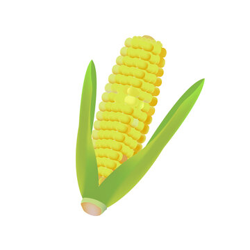 とうもろこしイラスト の画像 462 件の Stock 写真 ベクターおよびビデオ Adobe Stock
