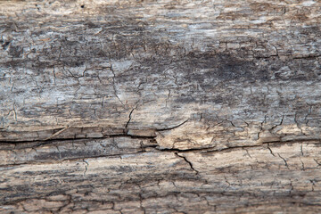 wooden texture background macrophoto aged
