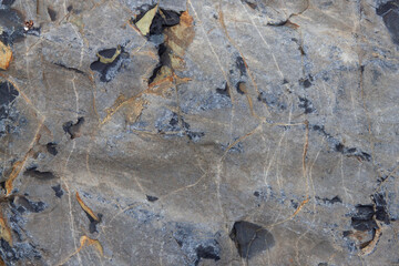 gray stone texture with inclusion and homogeneous background of the rock