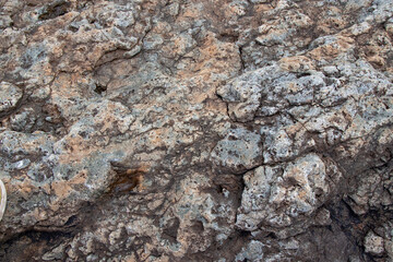 gray stone texture with inclusion and homogeneous background of the rock
