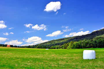  Summer green meadow in the mountains. Fresh green rural meadows on a sunny day with blue sky and white clouds.