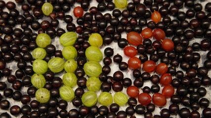 HLS letters acronym with gooseberry berries on the background of fresh black currant closeup, healthy lifestyle food