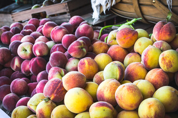 Summer Farm Stand