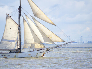 Fototapeta premium Sunlit Schooner on the North Sea
