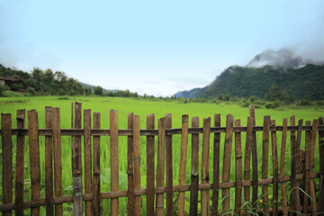 Vang Vieng, Laos