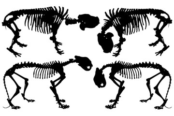 Animals skeleton silhouettes set. Clip art on white background