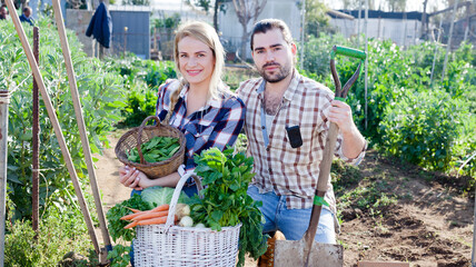 Couple of professional gardeners holding harvest of vegetables and greens in garden