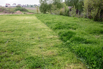Cut strip of green grass. Mowing the lawn, close-up