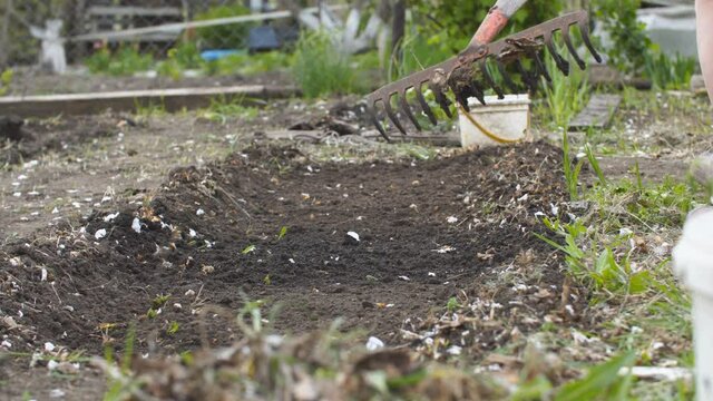 Woman with a rake makes a garden bed