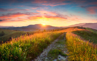 Panorama of the colorful summer evening  in the mountains.