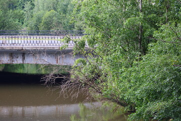 Concrete bridge over a narrow river in a green thicket