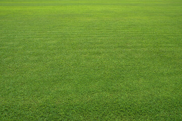Large green lawn. Very Clean Lawn, Grass texture background. Grass surface for product display...