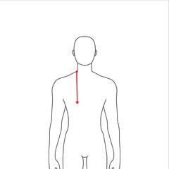Men to do armscye depth measurement fashion Illustration for size chart. 7.5 head size boy for site or online shop. Human body infographic template for clothes. 