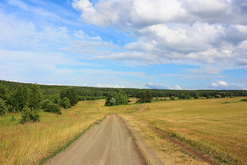 Fototapeta na wymiar Country road in a wheat field