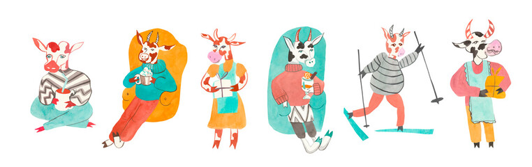 Watercolor set with festive bulls in orange, blue, red colors.Christmas clipart with cows for the New Year holiday on a white isolated background.Design for cards,banners,posters,social networks,web.