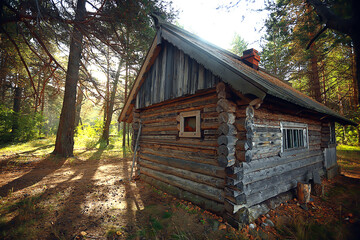 outdoor activities tourism, holiday house in a pine forest, summer landscape sunny day nature north