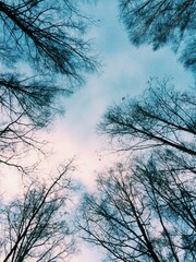 Abstract green texture, nature background