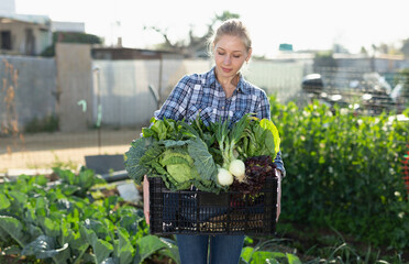Portrait of blonde young woman holding box with harvest of green vegetables at her garden