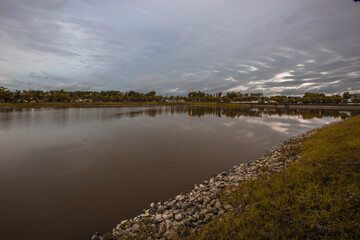 The natural background of many species of plants that are laid out in the park, for the propagation of the species and to provide shade for those who stop by while traveling to study the ecology.
